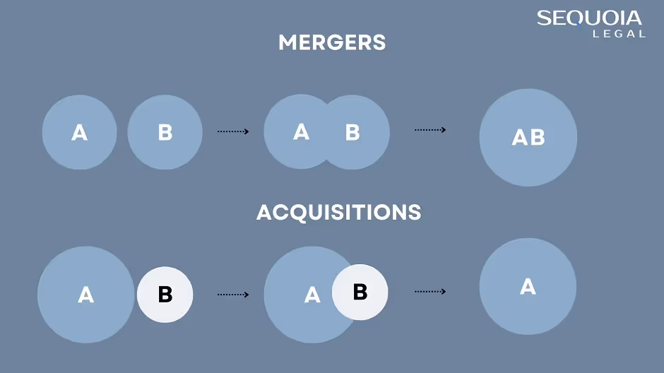 Differences Between Mergers and Acquisitions