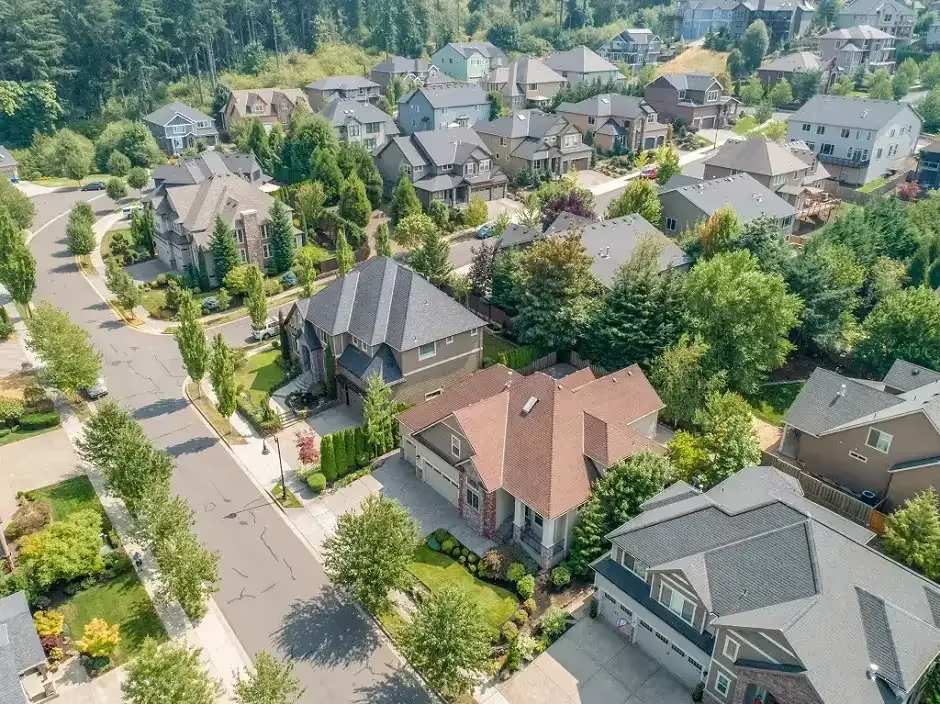 Aerial view of a suburban neighborhood of houses among green trees